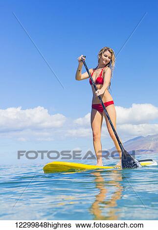 Attractive Young Woman Stand Up Paddle Surfing In Hawaii, Beautiful Tropical Ocean, Active Beach Lifestyle View Large Photo Image Stock Photograph - Attractive Young Woman Stand Up Paddle Surfing In Hawaii, Beautiful Tropical Ocean, Active Beach Lifestyle. Fotosearch
