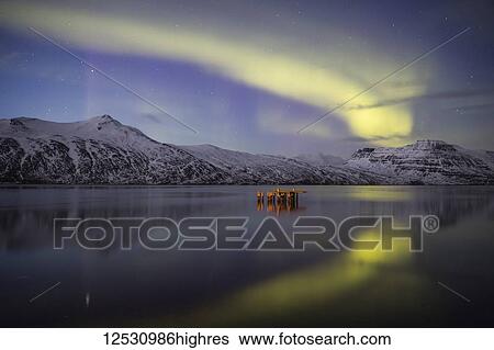 Stock Photograph - Aurora Borealis, or Northern lights; Djupavik, West Fjords, Iceland. Fotosearch