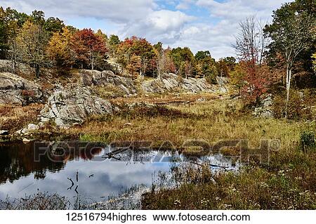 Stock Photograph - Autumn coloured foliage and clouds in Frontenac Provincial Park reflected in tranquil water; Ontario, Canada. Fotosearch