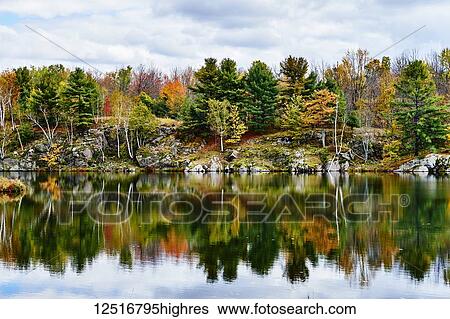 Stock Photograph - Autumn coloured foliage and clouds in Frontenac Provincial Park reflected in tranquil water; Ontario, Canada. Fotosearch