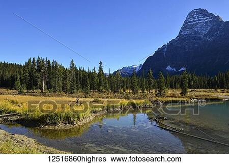 Stock Photograph - Autumn colours and a blue sky over a clear river in the Rocky Mountains along the Icefields Parkway, Columbia Icefield; Alberta, Canada. Fotosearch