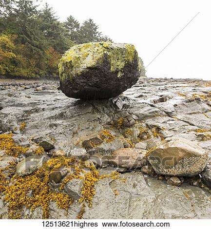 Balancing Rock Beach out of Skidigate; Haida Gwaii, British Columbia, Canada View Large Photo Image Stock Photograph - Balancing Rock Beach out of Skidigate; Haida Gwaii, British Columbia, Canada. Fotosearch