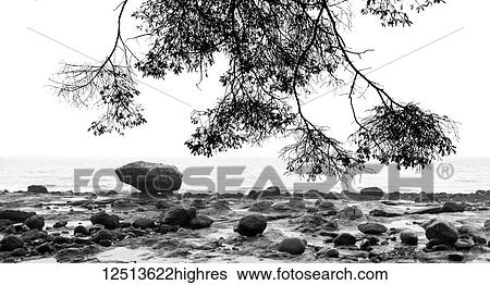 Balancing Rock Beach out of Skidigate; Haida Gwaii, British Columbia, Canada View Large Photo Image Stock Photograph - Balancing Rock Beach out of Skidigate; Haida Gwaii, British Columbia, Canada. Fotosearch