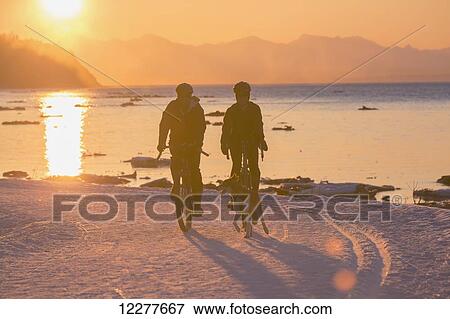 Stock Photo - Bicyclists at sunset on the Tony Knowles Costal Trail led by an Alaskan Husky with the Cook Inlet in the background, Southcentral Alaska, USA, Winter. Fotosearch
