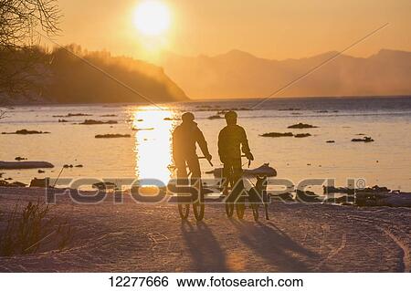 Bicyclists at sunset on the Tony Knowles Costal Trail led by an Alaskan Husky with the Cook Inlet in the background, Southcentral Alaska, USA, Winter View Large Photo Image Stock Photograph - Bicyclists at sunset on the Tony Knowles Costal Trail led by an Alaskan Husky with the Cook Inlet in the background, Southcentral Alaska, USA, Winter. Fotosearch