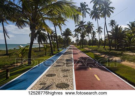Stock Photograph - Bike and runing paths on one of the beaches outside of Slavador; Salvador, Bahia, Brazil. Fotosearch