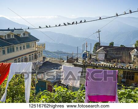 Birds on an electrical wire and clothing hanging on a clothesline with the Himalayas in the distance; Darjeeling, West Bengal, India View Large Photo Image Stock Photograph - Birds on an electrical wire and clothing hanging on a clothesline with the Himalayas in the distance; Darjeeling, West Bengal, India. Fotosearch