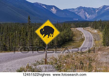 Bison sign posted on the side of the Alaska Highway; British Columbia, Canada View Large Photo Image Stock Photograph - Bison sign posted on the side of the Alaska Highway; British Columbia, Canada. Fotosearch