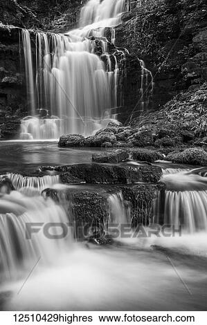 Stock Photograph - Black and white image of numerous waterfalls flowing over rocks in the Yorkshire Dales; Settle, North Yorkshire, England. Fotosearch