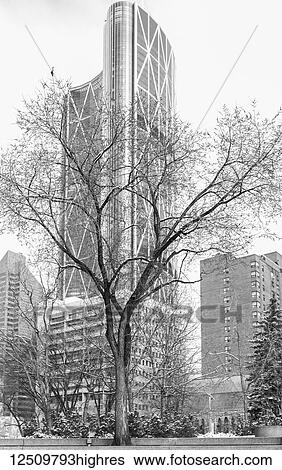 Stock Photograph - Black and white image of The Bow skyscraper surrounded by residential buildings; Calgary, Alberta, Canada. Fotosearch