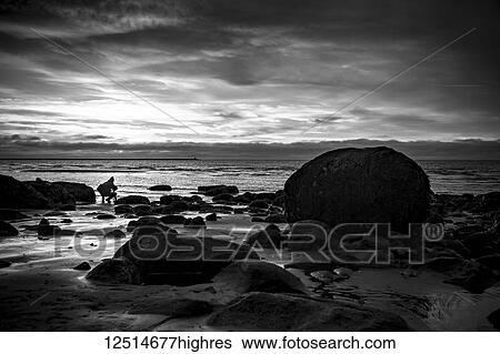 Stock Photograph - Black and white image of Wreck Beach at sunset; Vancouver, British Columbia, Canada. Fotosearch