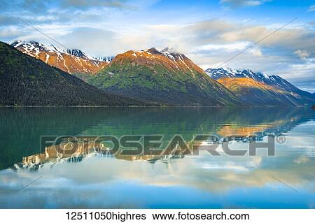 Black Mountain and Sleeping Sister Mountain in Kenai Mountains reflect on Kenai Lake at sunrise, alpenglow on the peaks. Chugach National Forest, South-central Alaska; Alaska, United States of America View Large Photo Image Stock Photograph - Black Mountain and Sleeping Sister Mountain in Kenai Mountains reflect on Kenai Lake at sunrise, alpenglow on the peaks. Chugach National Forest, South-central Alaska; Alaska, United States of America. Fotosearch
