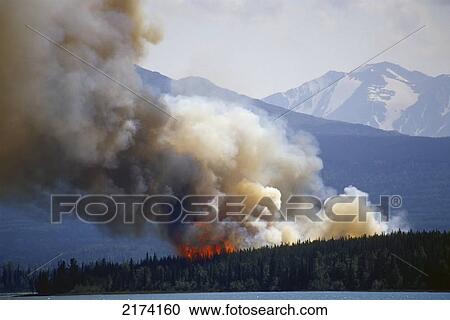 Stock Image - Blazing Forest Fire In Kenai Wildlife Refuge, Skilak Lake, Alaska, Summer.. Fotosearch