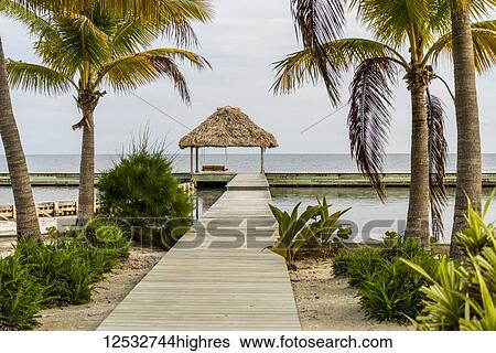 Boardwalk leading to dock lined with palm trees and a view out to the ocean; Belize View Large Photo Image Stock Photograph - Boardwalk leading to dock lined with palm trees and a view out to the ocean; Belize. Fotosearch