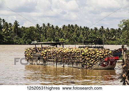 Stock Photograph - Boat laden with coconuts in the Mekong River; Ben Tre, Vietnam. Fotosearch