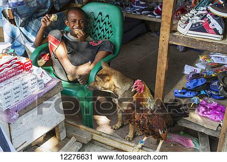 Stock Image - Boy sitting in a chair by a dog and a rooster; Manatuto, East Timor. Fotosearch