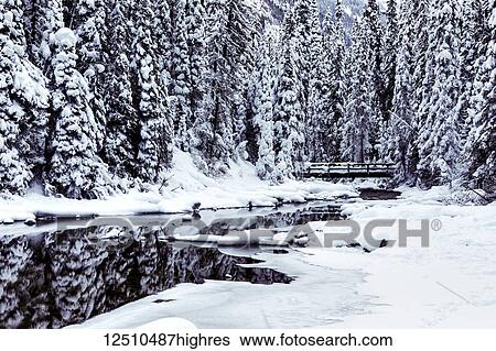 Bridge on Emerald River at Emerald Lake, Yoho National Park; British Columbia, Canada View Large Photo Image Stock Photograph - Bridge on Emerald River at Emerald Lake, Yoho National Park; British Columbia, Canada. Fotosearch