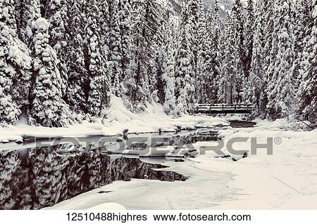 Stock Photograph - Bridge on Emerald River at Emerald Lake, Yoho National Park; British Columbia, Canada. Fotosearch