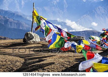Buddhist prayer flags at the summit of Pikey Peak in the Himalayas; Nepal View Large Photo Image Stock Photograph - Buddhist prayer flags at the summit of Pikey Peak in the Himalayas; Nepal. Fotosearch