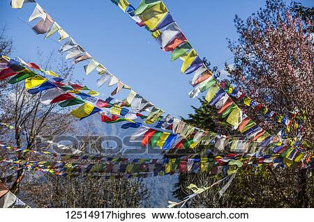 Buddhist prayer flags in the Nepalese Himalayas; Nepal View Large Photo Image Stock Photograph - Buddhist prayer flags in the Nepalese Himalayas; Nepal. Fotosearch
