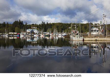 Picture - Canada, British Columbia, Vancouver Island, Port Hardy. Fotosearch