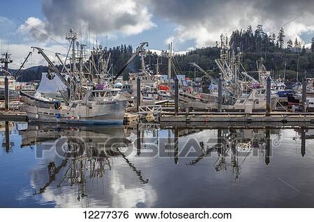 Canada, British Columbia, Vancouver Island, Port Hardy View Large Photo Image Stock Photograph - Canada, British Columbia, Vancouver Island, Port Hardy. Fotosearch