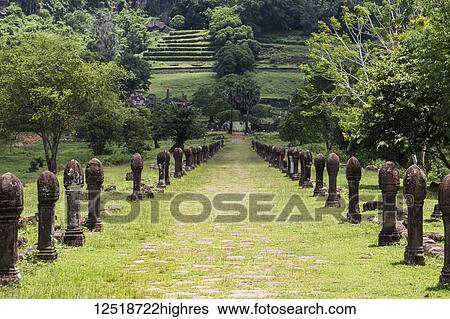 Stock Photograph - Causeway bordered by sandstone posts, Vat Phou Temple Complex; Champasak, Laos. Fotosearch