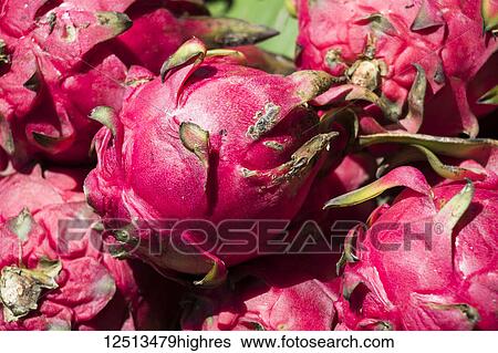 Close-up of Dragon fruit (pitaya) for sale at the Central Market Hall; Phnom Penh, Cambodia View Large Photo Image Stock Photograph - Close-up of Dragon fruit (pitaya) for sale at the Central Market Hall; Phnom Penh, Cambodia. Fotosearch