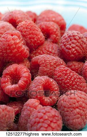 Stock Photograph - Close-up of fresh, red raspberries. Fotosearch