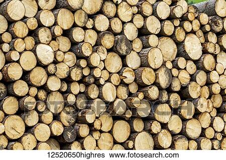 Close-up of stacked logs piled up on each other; San Candido, Bolzano, Italy View Large Photo Image Stock Photograph - Close-up of stacked logs piled up on each other; San Candido, Bolzano, Italy. Fotosearch