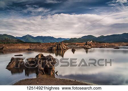Stock Photograph - Clouds reflected in the tranquil water of Stave Lake with the Coast Mountains in the distance; British Columbia, Canada. Fotosearch