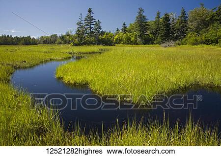 Stock Photograph - Coastal estuary on Port Joli harbour; Nova Scotia, Canada. Fotosearch