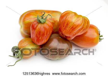 Collection of heirloom tomatoes on a white background View Large Photo Image Stock Photograph - Collection of heirloom tomatoes on a white background. Fotosearch