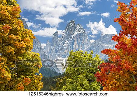 Stock Photograph - Colourful trees in autumn framing dramatic mountain in the background; Sesto, Bolzano, Italy. Fotosearch