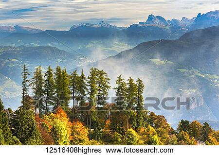 Colourful trees in autumn on a ridge overlooking rolling valley alpine slopes and mountains in the background with mist coming up from the valley; Caldaro, Bolzano, Italy View Large Photo Image Stock Photograph - Colourful trees in autumn on a ridge overlooking rolling valley alpine slopes and mountains in the background with mist coming up from the valley; Caldaro, Bolzano, Italy. Fotosearch