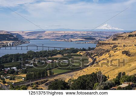 Columbia River vista, with expansive views and the snow-capped Mount Hood in the distance; Maryhill, Washington, United States of America View Large Photo Image Stock Photograph - Columbia River vista, with expansive views and the snow-capped Mount Hood in the distance; Maryhill, Washington, United States of America. Fotosearch