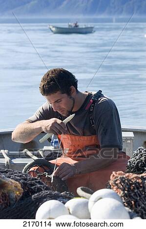 Picture - Commercial Fishing Deckhand Repairing Net On Boat Port Valdez Prince William Sound Southcentral Alaska. Fotosearch