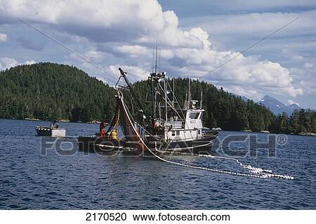 Commercial Seine Net Boat Near Sitka Ak Se Summer/Nfishing For Silver Salmon View Large Photo Image Stock Image - Commercial Seine Net Boat Near Sitka Ak Se Summer/Nfishing For Silver Salmon. Fotosearch