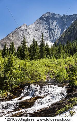 Stock Photograph - Creek waterfalls in alpine meadow with rugged mountain and blue sky in the background; Kananaskis Country, Alberta, Canada. Fotosearch