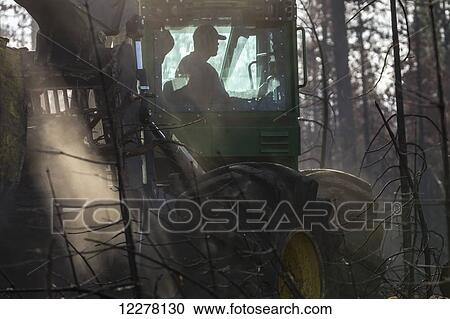 Stock Image - Crook Logging, remove trees damaged during the Rim Fire in the Stanislaus National Forest along Evergreen Road near Yosemite National Park; Groveland, California, United States of America. Fotosearch