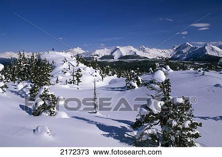 Cross-Country Skier Skiing In Spaulding Meadows Southeast Alaska View Large Photo Image Stock Image - Cross-Country Skier Skiing In Spaulding Meadows Southeast Alaska. Fotosearch
