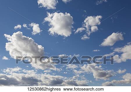 Cumulus clouds in a blue sky; Edmonton, Alberta, Canada View Large Photo Image Stock Photograph - Cumulus clouds in a blue sky; Edmonton, Alberta, Canada. Fotosearch