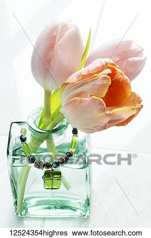 Cut tulips in a decorative glass vase with a pendant View Large Photo Image Stock Photograph - Cut tulips in a decorative glass vase with a pendant. Fotosearch