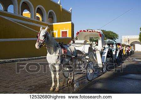 Decorated horses and carriages for tourists in the street; Izamal, Yucatan, Mexico View Large Photo Image Stock Photograph - Decorated horses and carriages for tourists in the street; Izamal, Yucatan, Mexico. Fotosearch