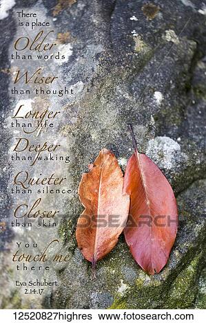 Stock Photograph - Decorative artwork with a sentimental poem written over rock with autumn coloured leaves. Fotosearch