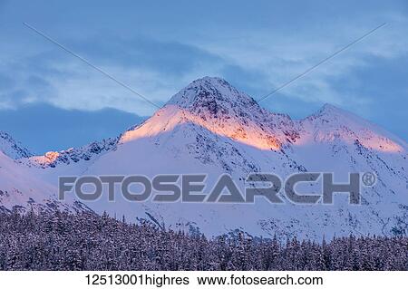 Stock Photograph - Deep snow covers a forest of spruce trees and warm sunset light illuminating a snowy mountain in the background, Kenai Peninsula, South-central Alaska; Moose Pass, Alaska, United States of America. Fotosearch
