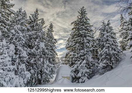 Stock Photograph - Deep snow covers an aluminum camper trailer, tall spruce trees line either side of the trailer, warm sunlight lighting up the cloudy skies in the background, Kenai Peninsula, South-central Alaska; Moose Pass, Alaska, United States of America. Fotosearch