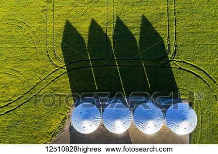 Stock Photograph - Directly above large metal grain bins in a green field of canola with long dramatic shadows across the field, East of Calgary; Alberta, Canada. Fotosearch