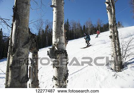 Downhill skiers at Mt. Aurora Skiland near Cleary Summit north of Fairbanks, Alaska View Large Photo Image Stock Photo - Downhill skiers at Mt. Aurora Skiland near Cleary Summit north of Fairbanks, Alaska. Fotosearch