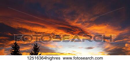 Stock Photograph - Dramatic colourful cloud formations at sunset with silhouette of evergreen trees; Calgary, Alberta, Canada. Fotosearch